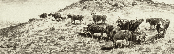 Virginia Snook collection in Yellowstone Art Museum