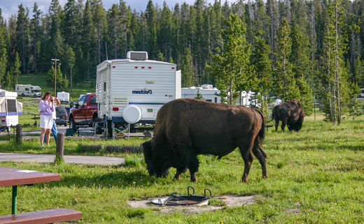 Yellowstone camping