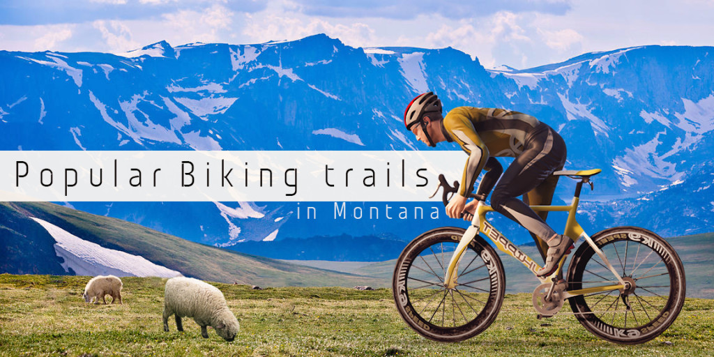 popular biking trails in Montana